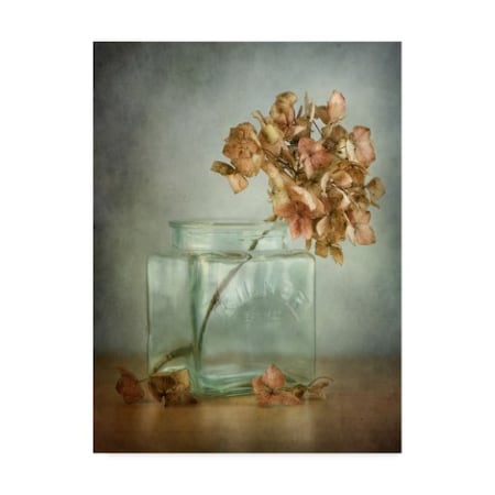 Mandy Disher 'Hydrangea Orange' Canvas Art,14x19